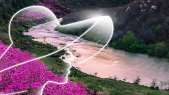 特別的風景，送給最特別的“你”！