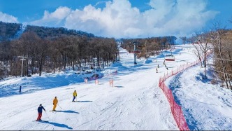 央视聚焦吉林团组活动：勾画五年蓝图，绽放冰雪魅力