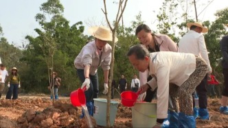 一邊植綠一邊暖心！四會這場活動，看完太治愈了