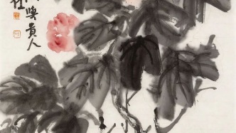 大石微言丨此花无日不春风