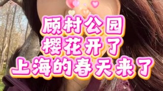 顾村公园的樱花开了，上海的春天来了！
