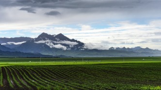环保要闻丨坚决筑牢国家西部生态安全屏障