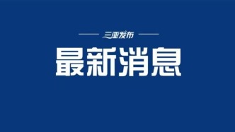 海南代表团以代表团名义向大会提交10件议案11件建议