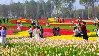 花漾南昌 与春天撞个满怀