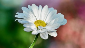 从产检到分娩，生育保险温暖守护“她”权益