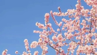 春風入封開，滿城繁花等你來~