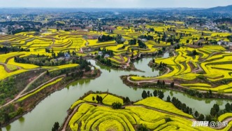 这么美的油菜花海都不宣传，感觉比云南罗平还美