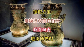镇馆之宝：蟠螭纹双铺首衔环铜莲瓣壶丨临汾博物馆