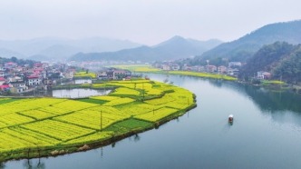 湖南娄底双峰县：春到水乡，画里行舟