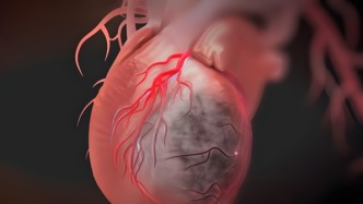 葛均波院士团队揭秘：肠道菌群失衡致胆汁酸不足，或增加心脏血栓风险！