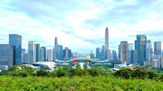 综研专访｜郭万达：民营经济面临新发展逻辑，深圳怎么做？