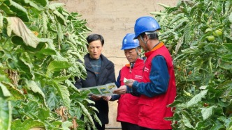 电力护航 万象“耕”新