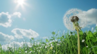 推动乡村数字教育从“有”到“优”