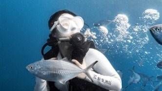 游客從暈船暈海到拍出海底大片 海島景區(qū)暖心服務(wù)讓“頭回客”變成“回頭客”