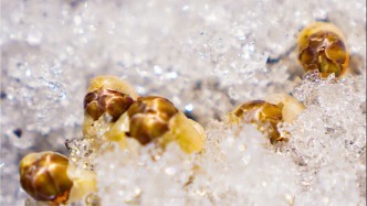 听劝！三月来长春，一定要去这儿一趟