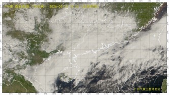 11-13日广东阳光将返场