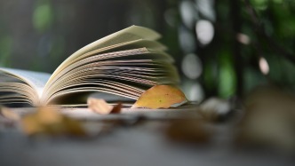 控股股东向债权人表示以自有财产偿债，是否构成债务加入？