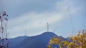 松岙，談資之外全是寶