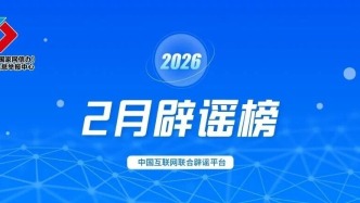 蹭炒春节春运热点 杜撰社会民生谣言 网信公安联动整治共护清朗