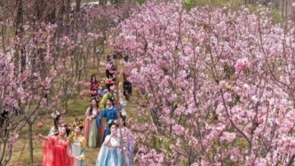 上大分！肇庆赏花季专属服务、优惠来了~