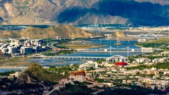 西藏自治区党委书记王君正：努力推动西藏长治久安和高质量发展