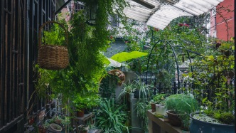 一个咖啡馆就是一个社区