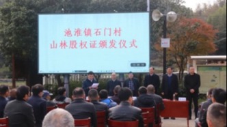 深化林改激活綠水青山 開化以綠色發(fā)展擘畫共富新篇