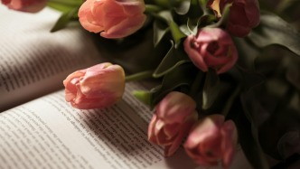 电影引进发行合同无效，退款协议是否也无效？