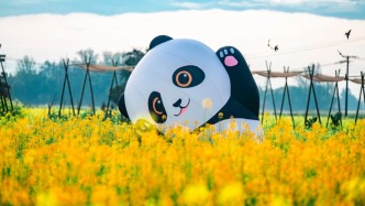 走进漫画里的春天！崇州这场盛会即将启幕