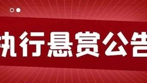 蘭州市七里河區(qū)人民法院執(zhí)行懸賞公告（2026年第二期）