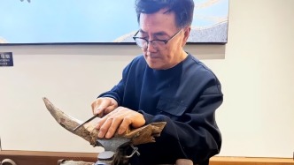 朽木可雕！看吉林72岁老人如何“点木成舟”