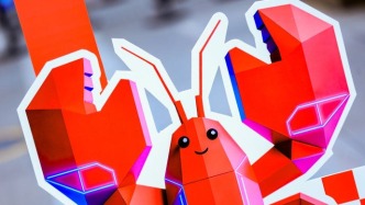 别让OpenClaw变成“数字内鬼”！大厂员工亲述“安全养虾”10条铁律