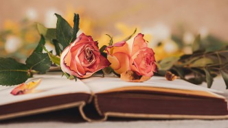 什么是第三人撤销之诉？