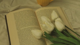 权利人无法向“音集协”提供权属证明文件还能否登记？