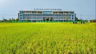 成效明显，全省通报！