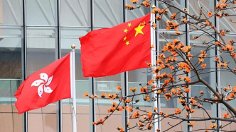 灣區(qū)評論｜香港當(dāng)“標(biāo)準(zhǔn)轉(zhuǎn)換器” 助力國家制度型開放