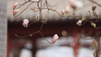 亦城春至，南海子藏尽人间温柔