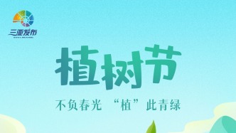 今天是植树节