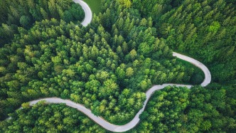 全球增绿看中国！2025年国土绿化公报亮出硬核数据