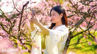 春风不负桃花有约，快来重庆潼南的大仑山，漫山桃林美如画