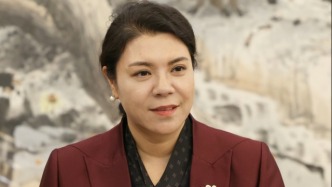 全国政协委员马东平：提升“一带一路”教师教育共同体建设层级