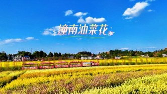 春暖花開時，總要來一趟潼南吧？ 看小火車駛過花田，真的很治愈