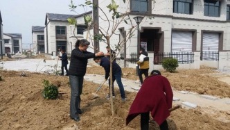 鹽城濱海濱海港鎮(zhèn)：義務(wù)植綠繪新景 生態(tài)賦能美家園