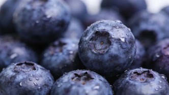 冷知识：真的不建议大家买超大蓝莓！