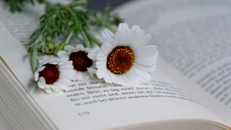 曲作者將表演權(quán)專有授權(quán)后是否仍具訴權(quán)？