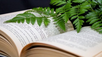 歌手未取得授權在商演中演唱歌曲，是否由歌手承擔侵權責任？