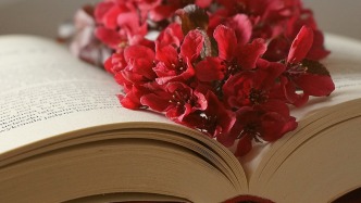 案外人执行异议之诉与第三人撤销之诉有何区别？