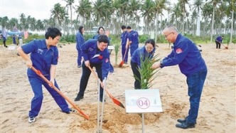 中阿友谊椰枣树落户海南商业航天发射场 计划建设168亩椰枣种植试验基地