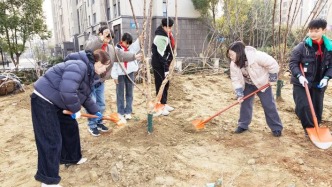 江蘇揚州：“植”生態(tài)底色，“樹”護綠新風
