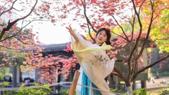 春日“楓”景迷人